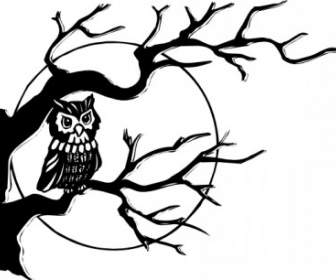 Owl On Tree Branch Clip Art