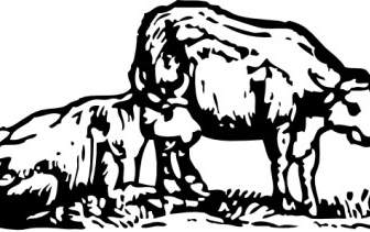Ox картинки