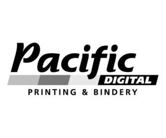 Pasifik Dijital