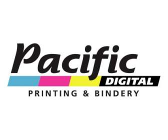 Pacifico Digitale