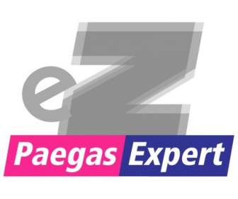 ผู้เชี่ยวชาญ Paegas