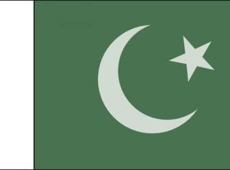 العلم الرسمي الباكستاني قصاصة فنية