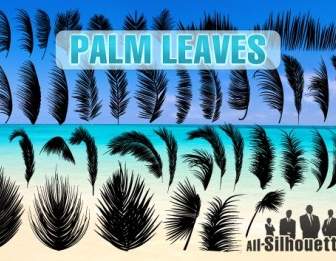 Folhas De Palmeira