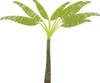 Palm Tree Clip Nghệ Thuật