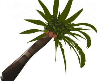 Palm Tree Clip Nghệ Thuật