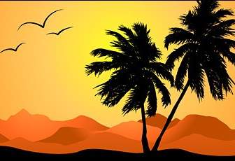 日没の椰子の木