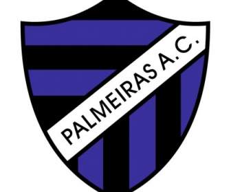パルメイラス アトレティコ Clube は、リオデジャネイロの Rj