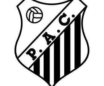 Palmital Atlético Clube De Palmital Sp