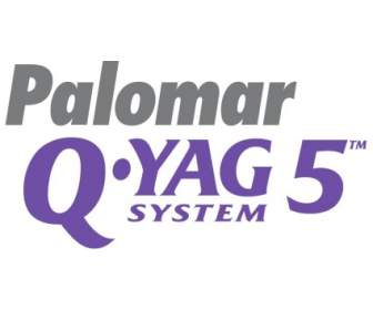 Palomar Q Yag системы