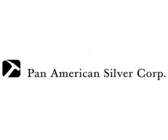 Pan Amerikan Gümüş