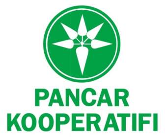 Kooperatifi Pancar
