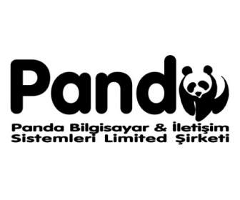 Panda Софтлайн
