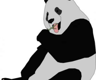 Panda-ClipArt