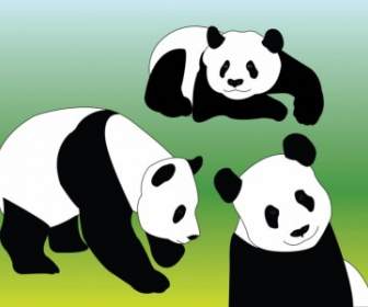 Vecteurs De Panda