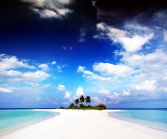 Monde De Maldives Papier Peint Paradis Insulaire