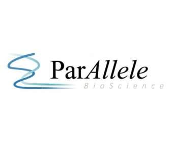 Paralle