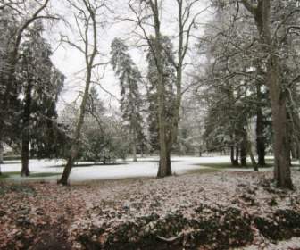 Parco In Inverno