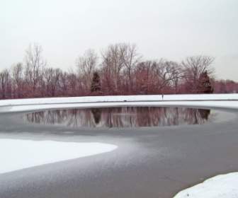 Partially Frozen Pond