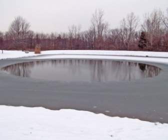 部分的に凍った池