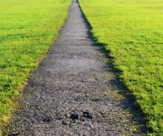 Path And Lawn