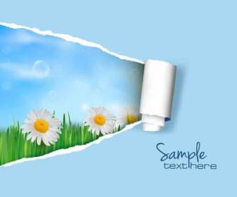 Pattern Background Cover Vector