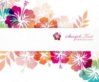 Pattern Background Cover Vector