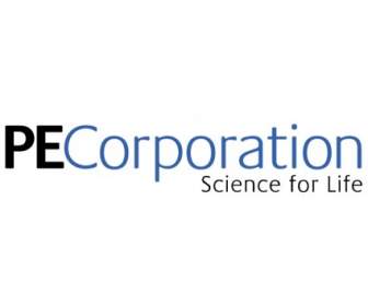 Corporation De PE