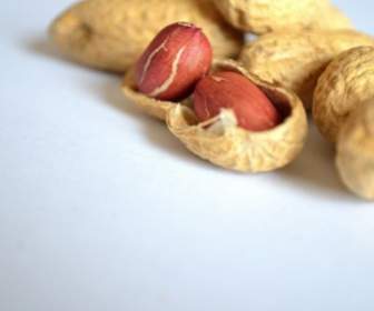 Peanut Nuts