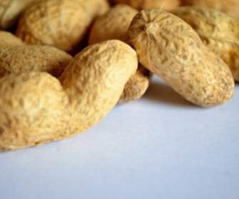 Peanut Nuts