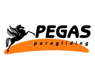 PEGAS Paragliding