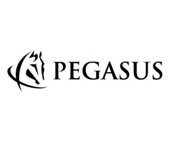 Pegasus Komunikasi