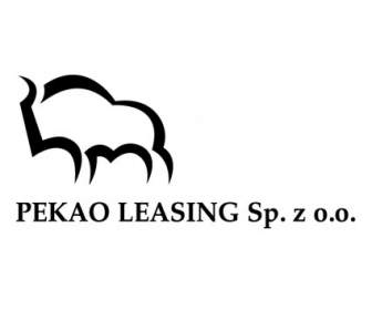 Pekao Leasing