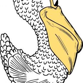 Pelican Sisi Pemandangan Clip Art