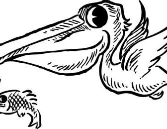 Pelican With Fish Clip Art