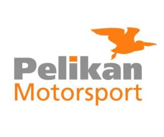 นักแข่งรถ Pelikan