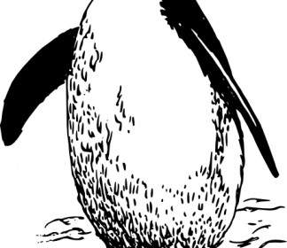 Clipart Pingouin