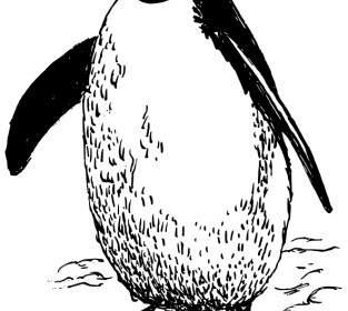 penguin2