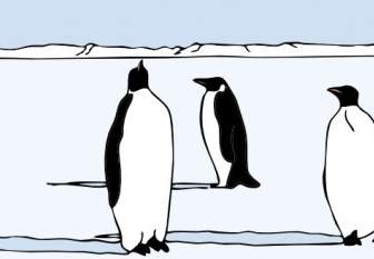 Clipart De Pingouins