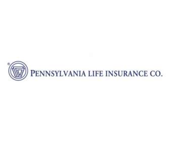 Assicurazione Sulla Vita Di Pennsylvania