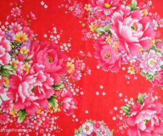 Peony Chinese Fabric Background Of Highdefinition Picture