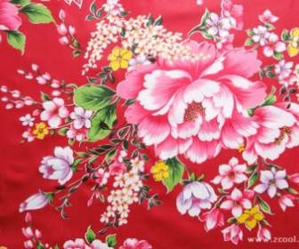 Kwiaty Piwonii Chińskiej Tkaniny Hd Obraz Tła