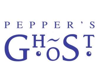 Peppers Ghost Productions