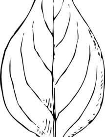 Periwinkle Leaf Clip Art
