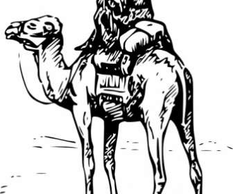 Person Riding Camel Clip Art