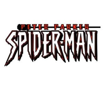 Peter Parker Spider Man