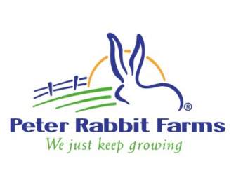 Peter Rabbit Peternakan