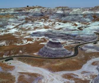 Petrified Forest National