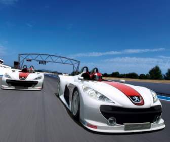 Peugeot автомобили Peugeot паук гонки Обои