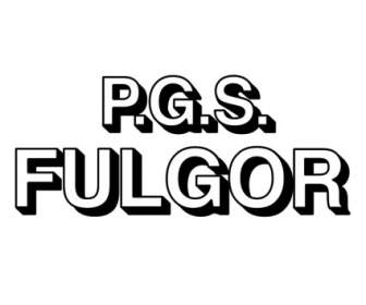 Pgs 社 Fulgor Marchio