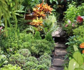 Philippine Garden